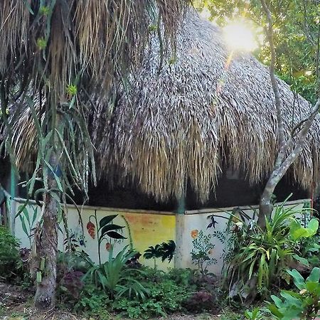 La Casa De Los Ninos Del Arbol Hotel Bacalar Exterior photo